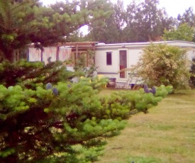 Vasariņi