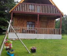 Priedīši
